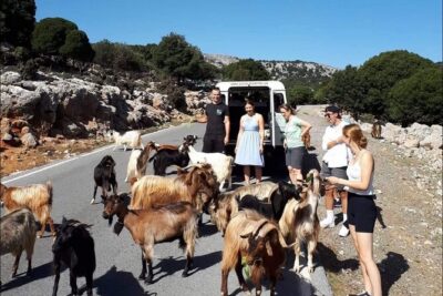 4x4 Safari Tour South Crete Agiofarago Matala - Pickup from Malia and how the 9.5 hours play out