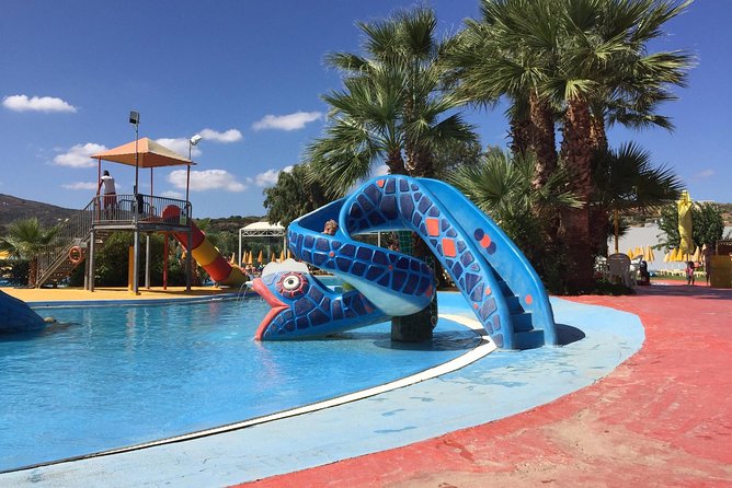 Acqua Plus Water Park Admission with Optional Transfer - Who This Tour Best Fits