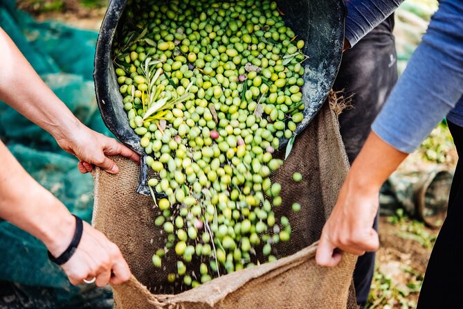 Afternoon Tour: Soap, Olive Oil & Wine Stories of Peza Village - Peza Valley in 5 Hours: What the Afternoon Is Like