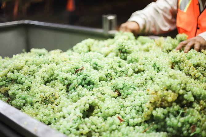 Afternoon Tour: Soap, Olive Oil & Wine Stories of Peza Village - Price and Value: $81.62 for Three Stops and Several Tastings