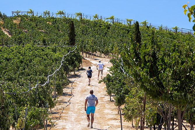 “ARISMARI” – Vineyard Tour & Wine Tasting - Key things that make ARISMARI different