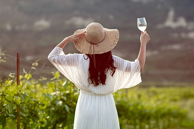 “ARISMARI” – Vineyard Tour & Wine Tasting - Entering The Douloufakis Winery World in Dafnes