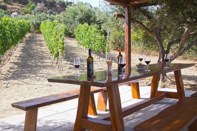 “ARISMARI” – Vineyard Tour & Wine Tasting - Walking the sunlit vineyards (and why shade is part of the plan)