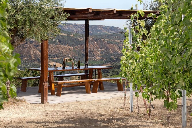 “ARISMARI” – Vineyard Tour & Wine Tasting - What to expect from the experience flow