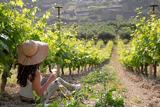 “ARISMARI” – Vineyard Tour & Wine Tasting - The short winery tour that sets up your tasting
