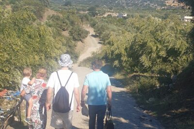 Authentic Olive Oil and Cultural Experience in Crete - Stop 1 in Kritsa: Olive Groves and the Cooperative Connection