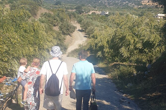 Authentic Olive Oil and Cultural Experience in Crete - Stop 1 in Kritsa: Olive Groves and the Cooperative Connection