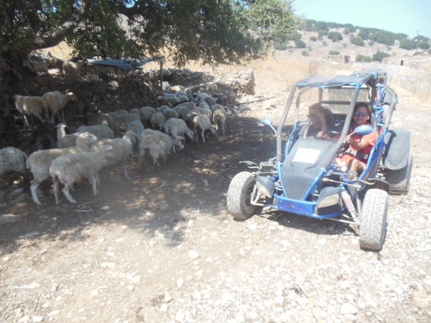 Buggy safari Crete (Transfer and lunch) analipsi- hersonisos - Milatos Cave: The Underground Stop With Real Measurements
