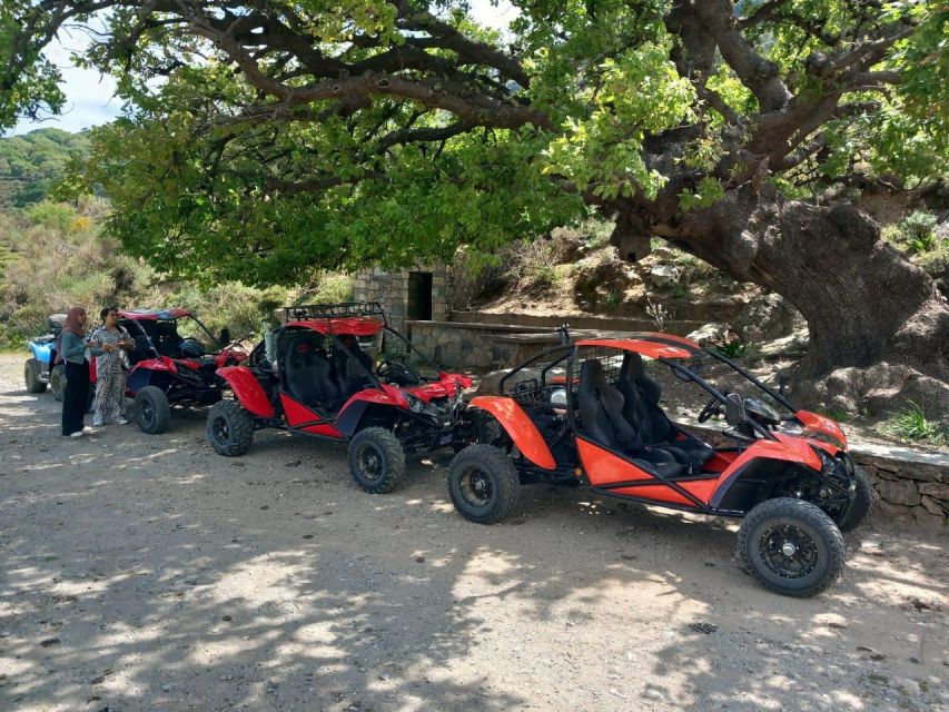 buggy safari half day 4 hours 4 hours ( hersonissos -Malia) - Milatos Cave: the main attraction you should plan around