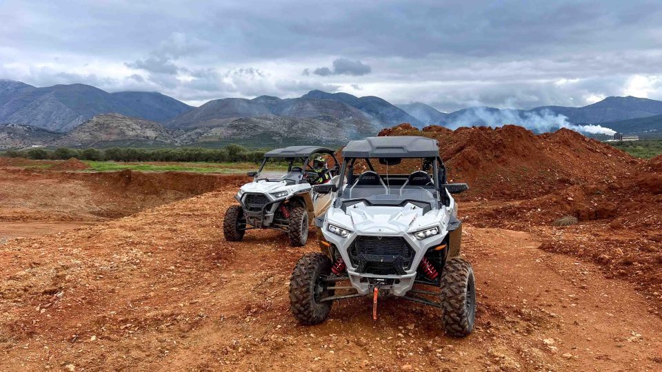 Buggy Safari Tours In Crete Heraklion - Final call: should you book Alligator in Crete?