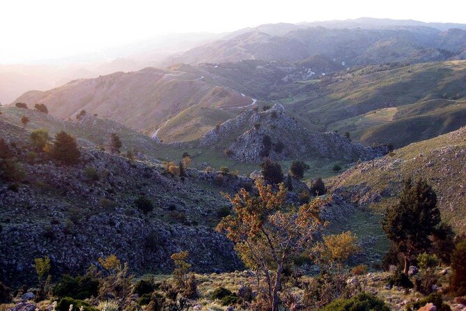 Chania 4x4 Sunset Safari Tour - Key things you’ll notice right away