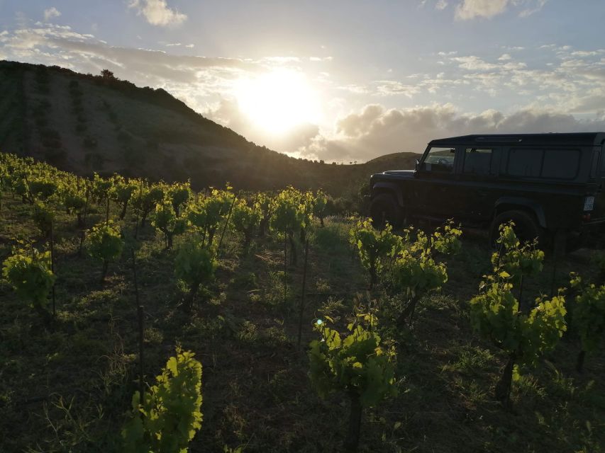 Chania 4x4 Sunset Safari Tour - Who’s this 4x4 sunset safari for (and who should skip it)