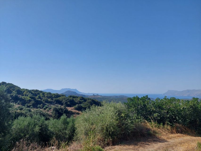 Chania: 5-Wine Tasting with Locals in Village near Kissamos - Key highlights I’d pencil into your Chania plan