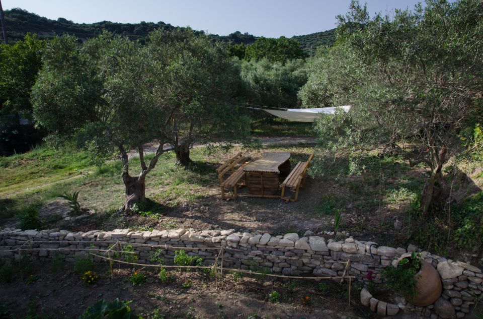 Chania: 5-Wine Tasting with Locals in Village near Kissamos - Practical tips so you enjoy every sip