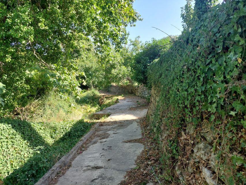 Chania: 5-Wine Tasting with Locals in Village near Kissamos - The heart of the experience: tasting 5 wines from Chania makers