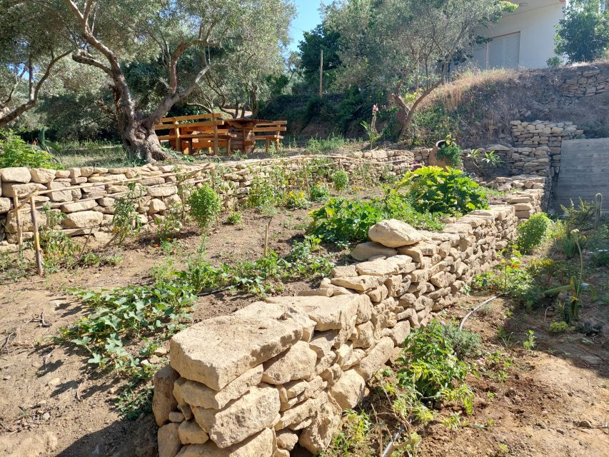 Chania: 5-Wine Tasting with Locals in Village near Kissamos - Price and value: is $58 for 5 wines fair?