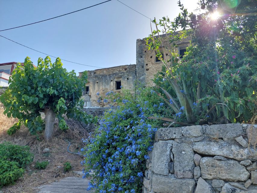 Chania: 5-Wine Tasting with Locals in Village near Kissamos - Who should book this tasting in west Chania