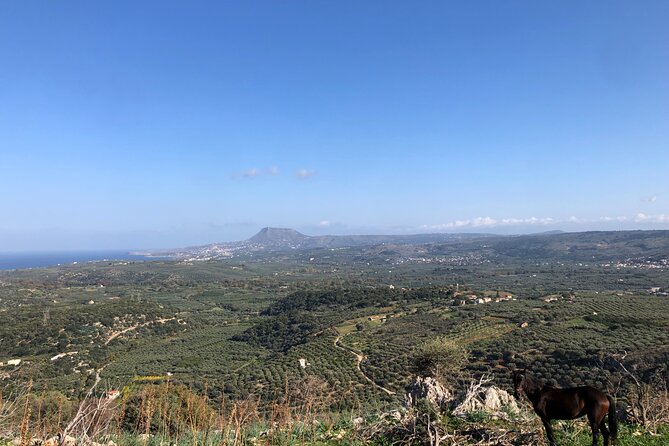 Chania Area: Cooking Class at a Farm in Stylos Village (organic) - Meeting at Veggera and setting expectations for a 5-hour day