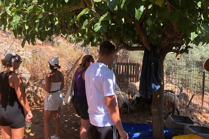 Chania Area: Cooking Class at a Farm in Stylos Village (organic) - Lemonade break and the view: a small pause that’s actually refreshing