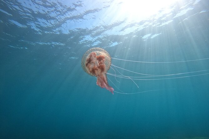 Chania Guided Snorkeling and Boat Excursion - The boat ride: scenery time with an easy rhythm
