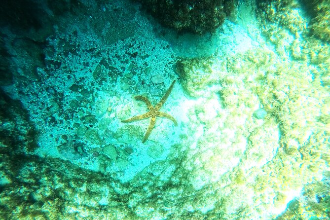 Chania Guided Snorkeling and Boat Excursion - The onboard break: snacks, water, and a breather