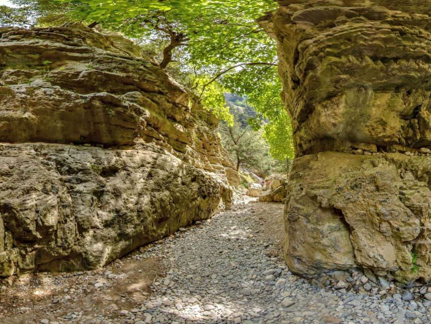 Chania: Imbros Gorge and Libyan Sea Day Tour - Leaving Chania: Long Bus Time, Smart Payoff