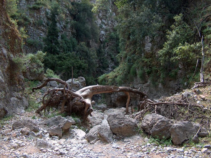 Chania: Imbros Gorge and Libyan Sea Day Tour - Chasing Shade on the South Coast: The Libyan Sea Swim Stop