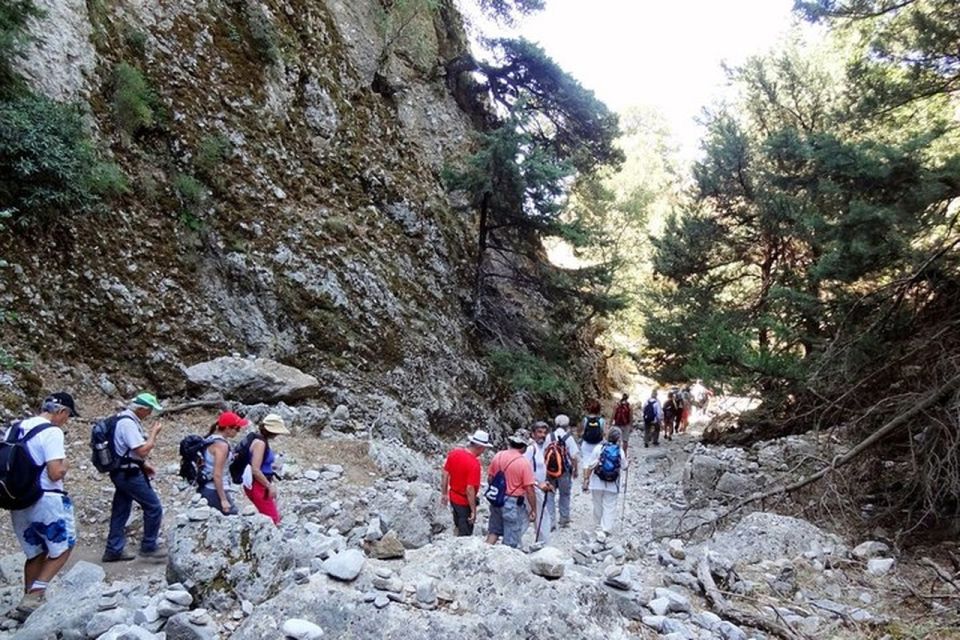 Chania: Imbros Gorge and Libyan Sea Day Tour - Private Group Option: When the Guide Piece Matters