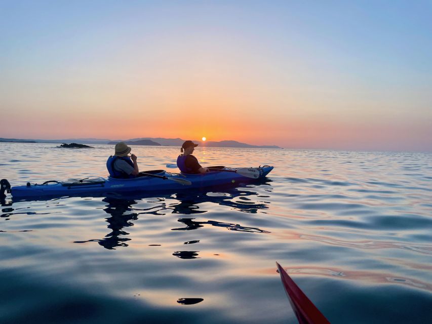 Chania: Morning Sea Kayak Tour Along the Coastline - The Tampakaria to Koum Kapi stretch: coastline with real texture