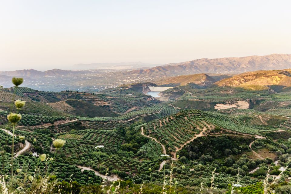 Chania: Off-Road Tour at Sunset - Practical tips to make the sunset portion feel smooth