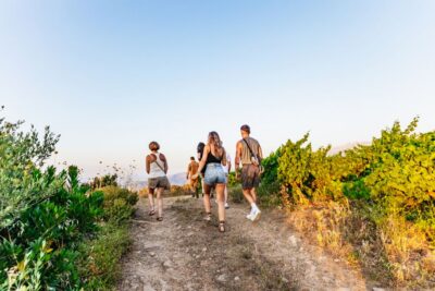 Chania: Off-Road Tour at Sunset - The drive through northwest Crete: orange, olive, and mountain switchbacks
