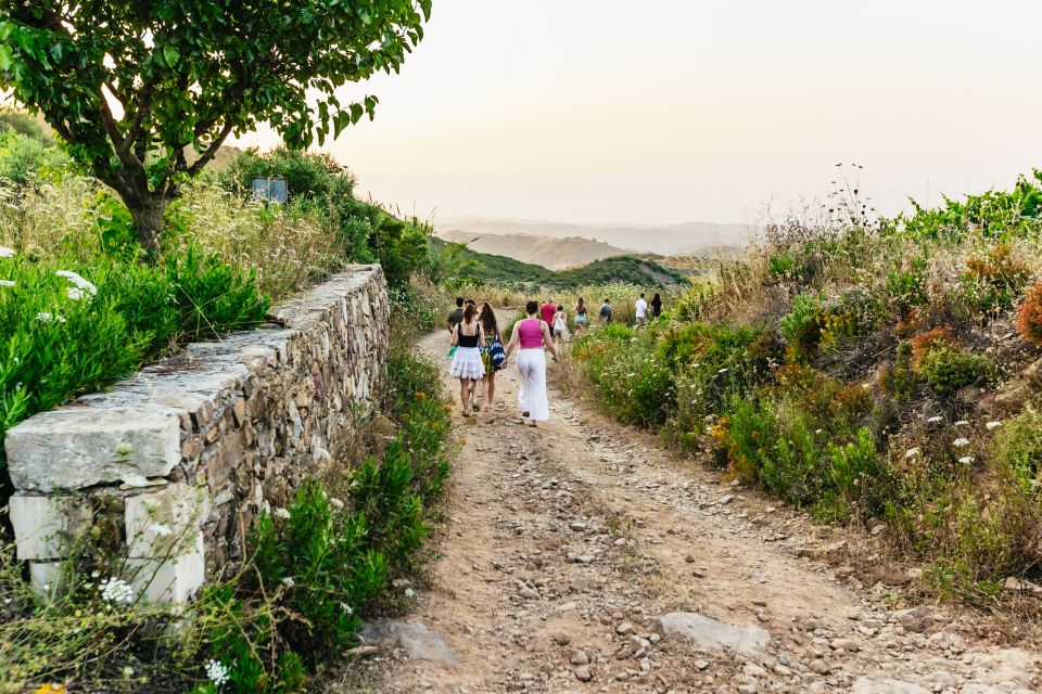 Chania: Off-Road Tour at Sunset - Skonizo hilltop timing: getting the best light without feeling rushed