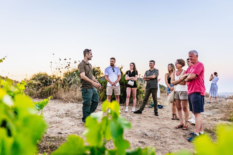 Chania: Off-Road Tour at Sunset - Off-road + culture + a real meal: meze, local wine, and snacks