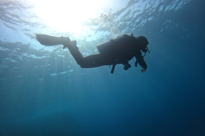 Chania Scuba Diving 2 Shore Dives(Receive Certification) - Second Underwater Session (About 45 Minutes): Building Confidence for Real
