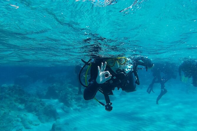 Chania: Scuba Diving for Beginners - Getting From Chania to Almyrida: Pick-Up That Saves Your Time