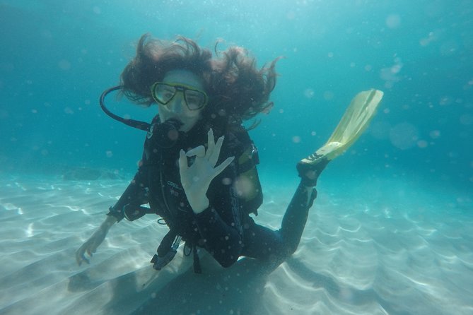 Chania: Scuba Diving for Beginners - What You’ll See Under the Surface Around Chania