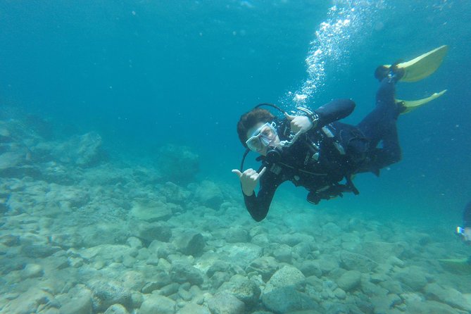 Chania: Scuba Diving for Beginners - Cost and Value: Why $112 Can Be a Good Deal for Beginners