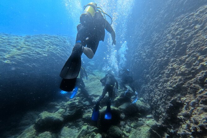 Chania Scuba Diving | Shore Dives | Certified Divers - Key highlights you’ll care about