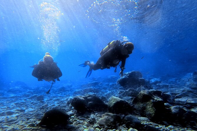 Chania Scuba Diving | Shore Dives | Certified Divers - How the 4-Hour Flow Works in Real Time