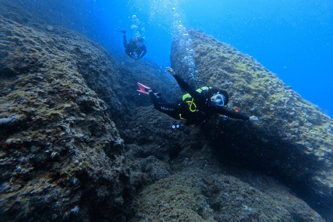 Chania Scuba Diving | Shore Dives | Certified Divers - Price and Value: Is $144.49 Worth It?