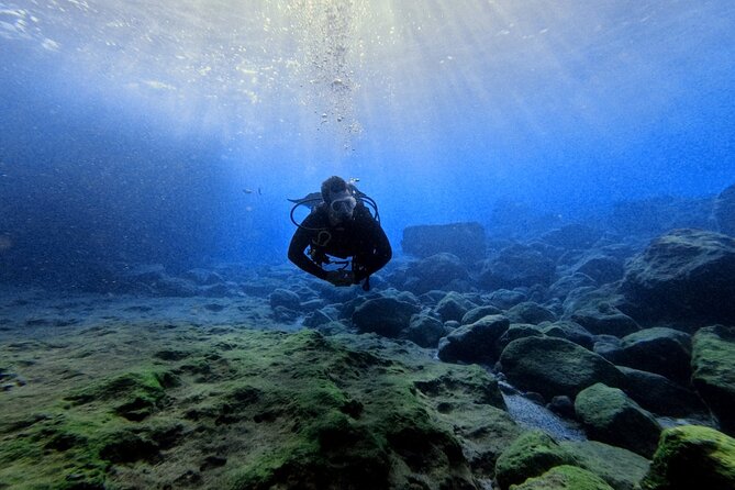 Chania Scuba Diving | Shore Dives | Certified Divers - Certified-Only Shore Sessions: What the Qualification Requirement Means