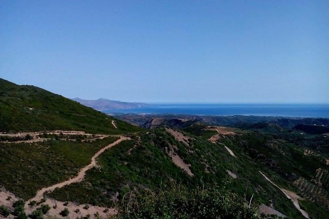 Chania Shore Excursion Off Road Vineyard and Winery Tour Half Day - Inside the winery: a guided walk that explains the philosophy, not just the process