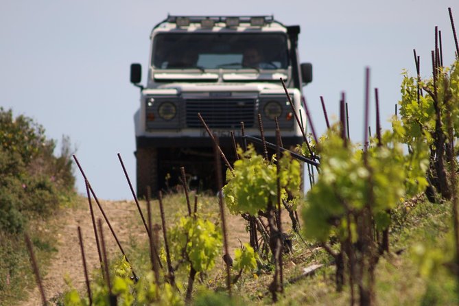 Chania Shore Excursion Off Road Vineyard and Winery Tour Half Day - Five wines, cheese pairing, and how to taste without rushing