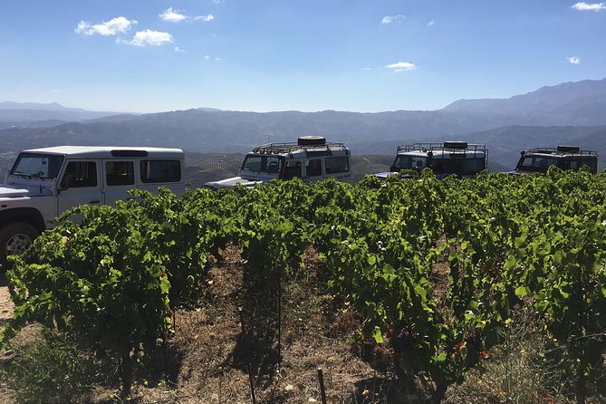 Chania Shore Excursion Off Road Vineyard and Winery Tour Half Day - Port pickup and drop-off: what “easy transfers” really means
