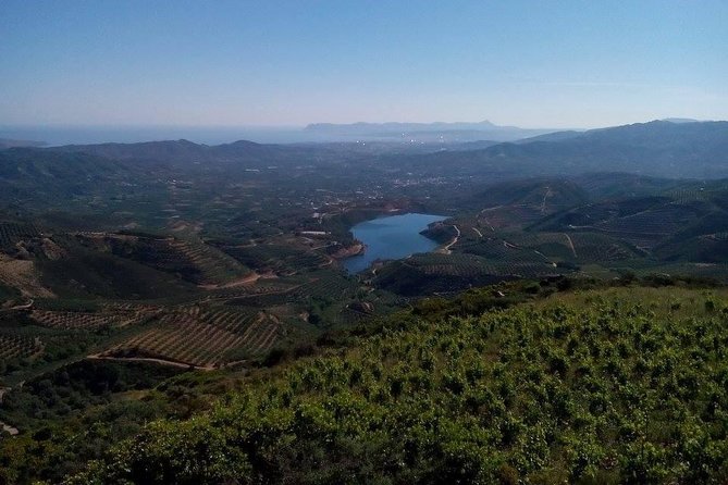 Chania Shore Excursion Off Road Vineyard and Winery Tour Half Day - Price and value: why $107.17 can work (or not)
