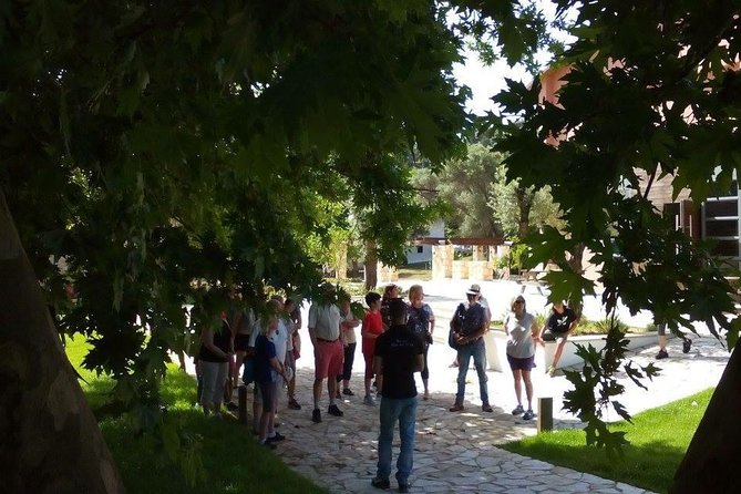 Chania Shore Excursion Off Road Vineyard and Winery Tour Half Day - Who should book this half-day (and who should skip it)