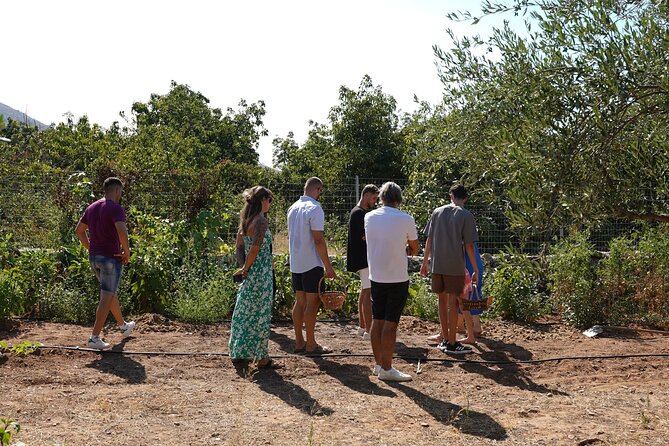 Chania Sourdough Bread Class - Olive Oil Tasting - How the bread moves from your hands to the oven (and why the timing works)