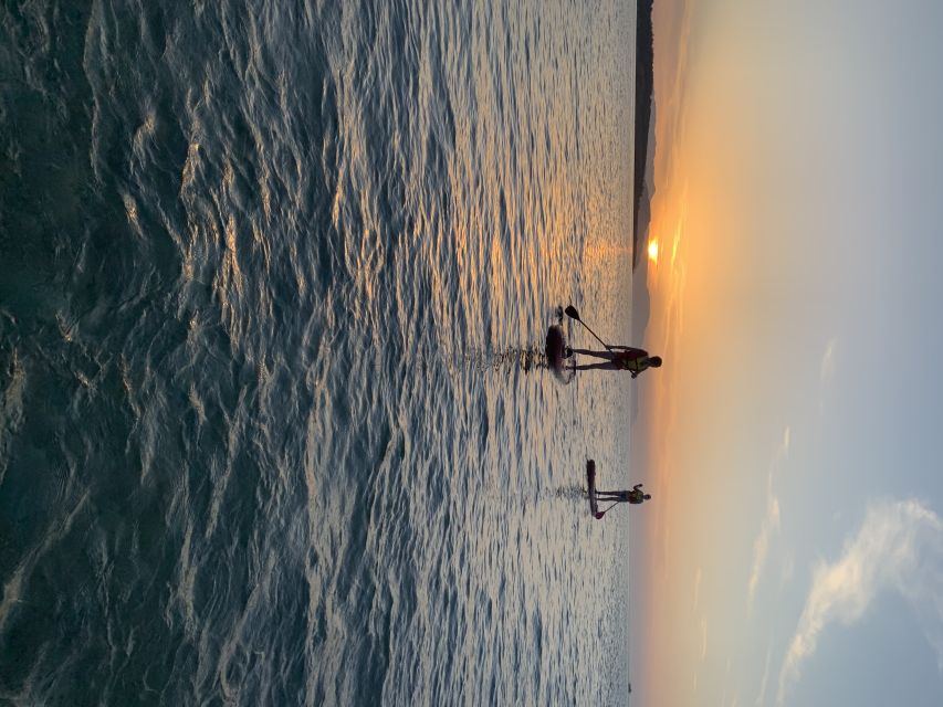 Chania: Stand-up Paddleboard Coastal Sunset Experience - Sea turtles, photos, and why the guide matters more than the equipment