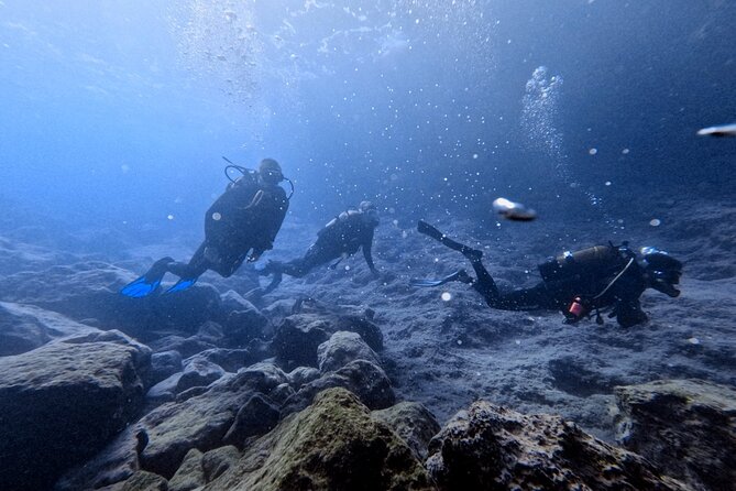 Chania | Try Scuba Diving | Introduction Dive - First Stop: Kefi Divers in Almyrida (Meet, Gear Up, Get Set)