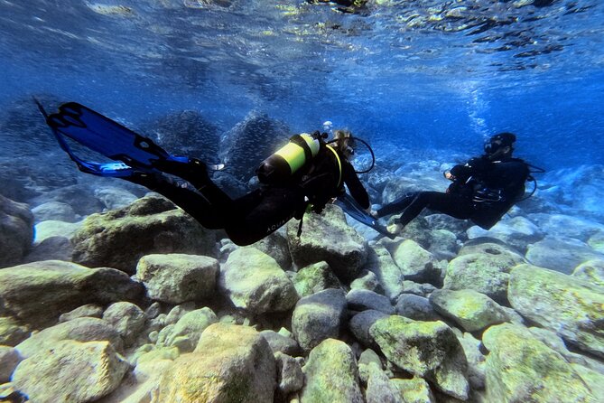 Chania | Try Scuba Diving | Introduction Dive - Head to a Sheltered Marine Nursery (Where the Mediterranean Shows Off)